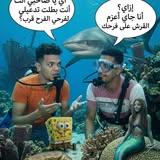 إنتر لوك بالفيوم - طبق جاهز للتوصيل